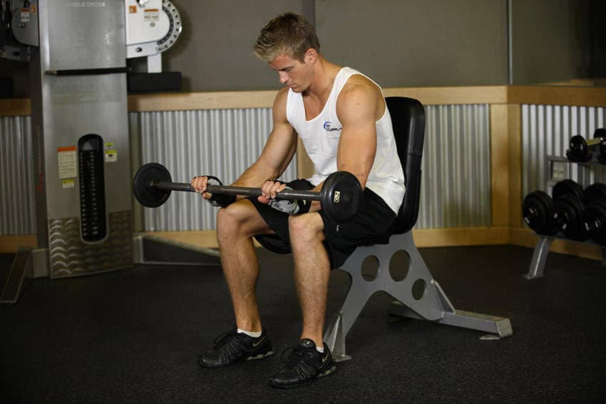 Seated Palms-Down Barbell Wrist Curl — النهاية