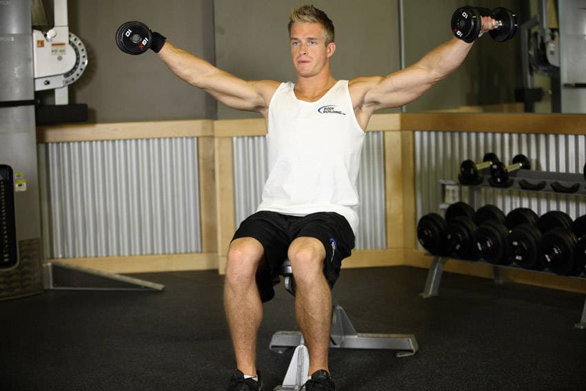 Seated Side Lateral Raise — النهاية