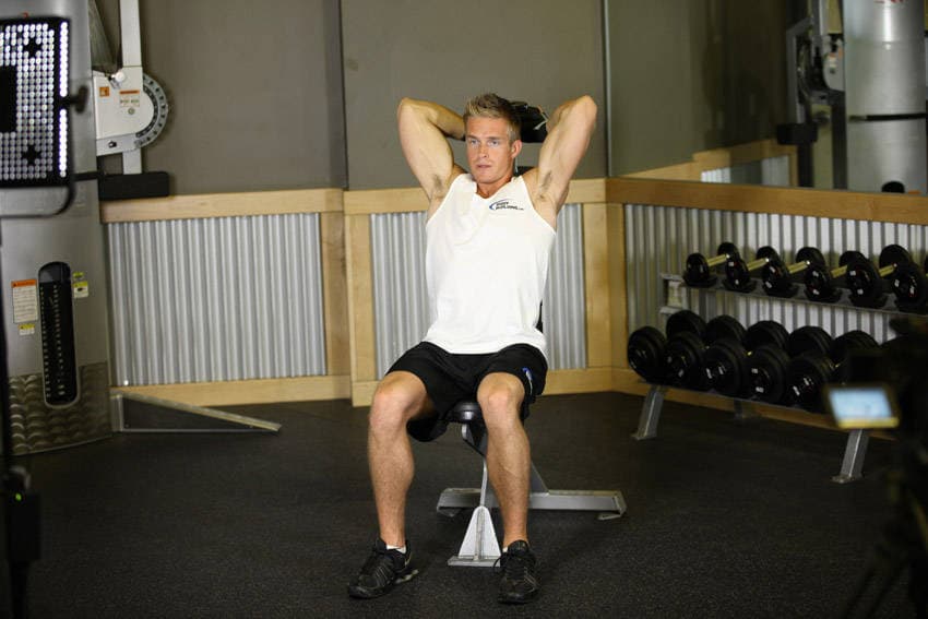 Seated Triceps Press — البداية