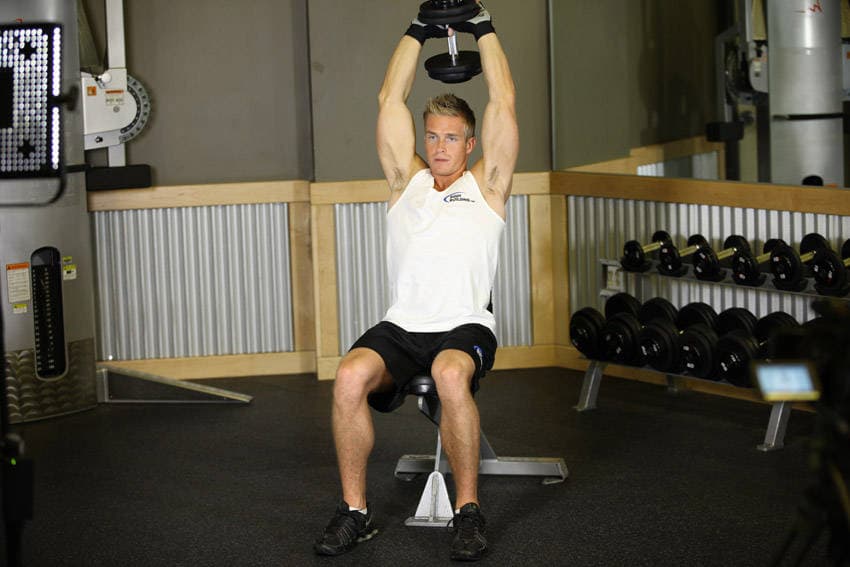 Seated Triceps Press — النهاية