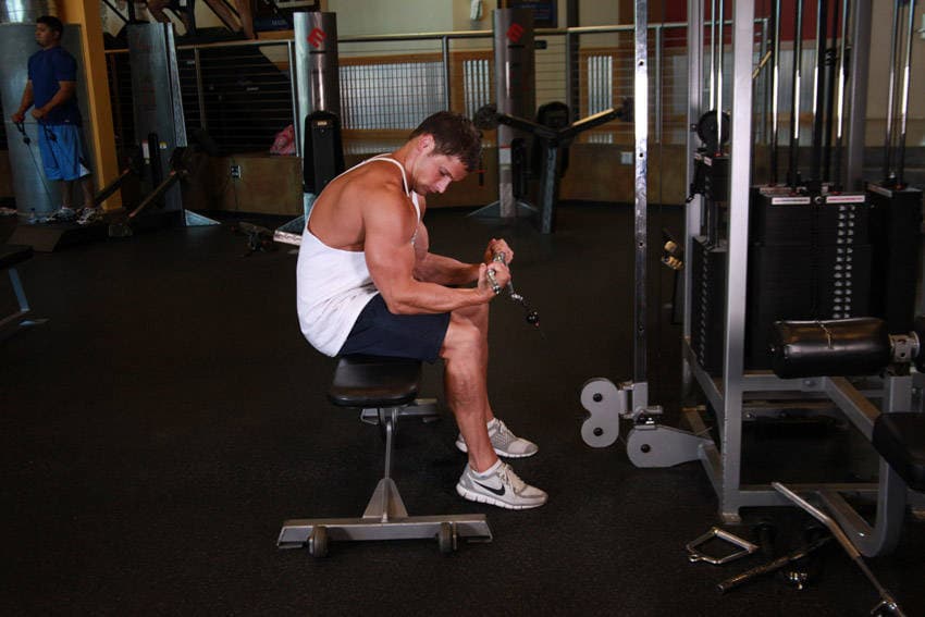 Seated Two-Arm Palms-Up Low-Pulley Wrist Curl — النهاية