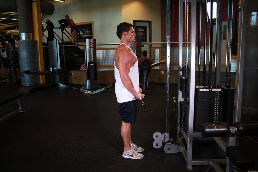Standing Biceps Cable Curl — البداية