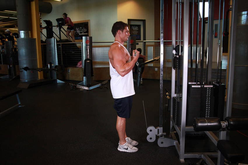 Standing Biceps Cable Curl — النهاية