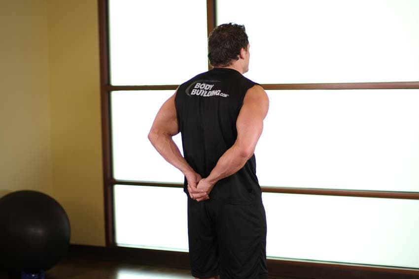 Standing Biceps Stretch — البداية