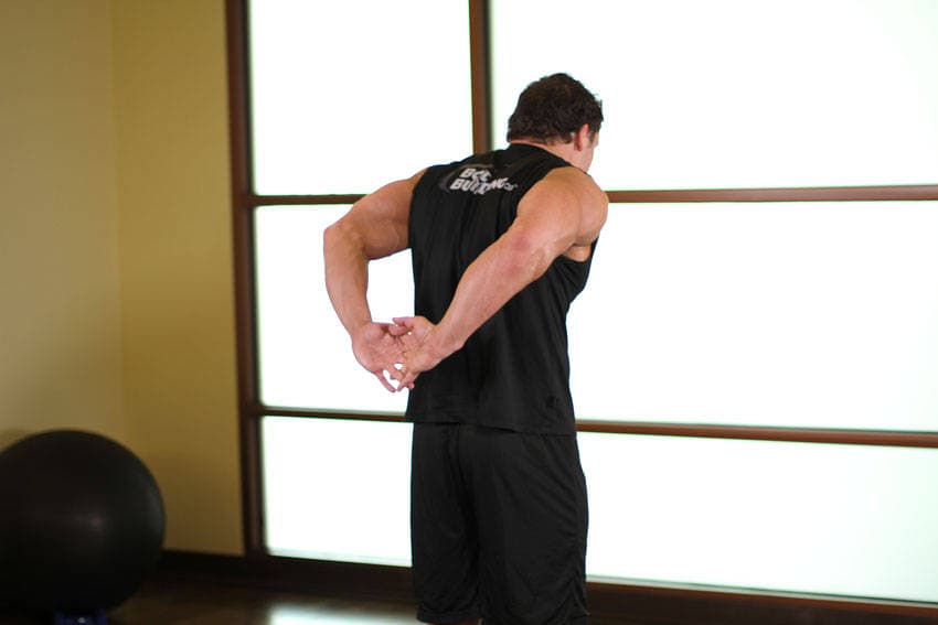 Standing Biceps Stretch — النهاية