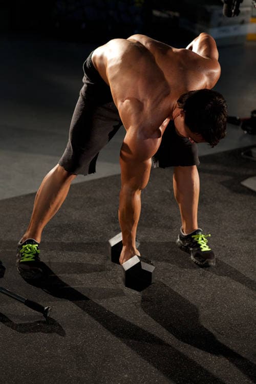 Standing Concentration Curl — البداية