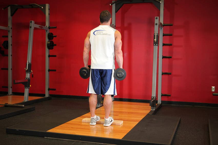 Standing Dumbbell Calf Raise — البداية