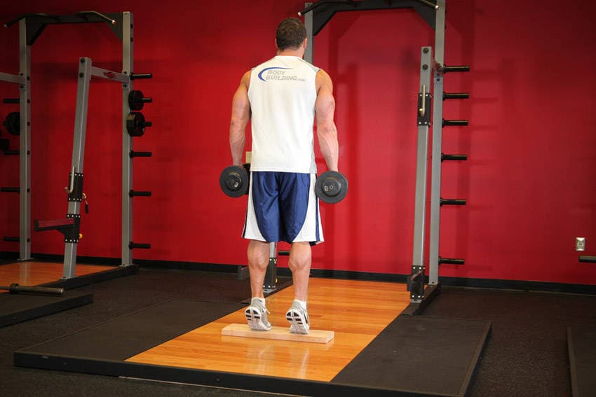 Standing Dumbbell Calf Raise — النهاية