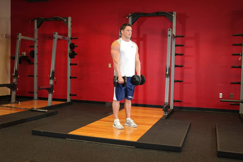 Standing Dumbbell Reverse Curl — البداية