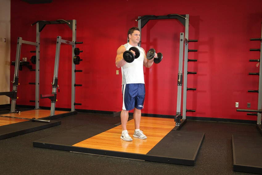 Standing Dumbbell Reverse Curl — النهاية