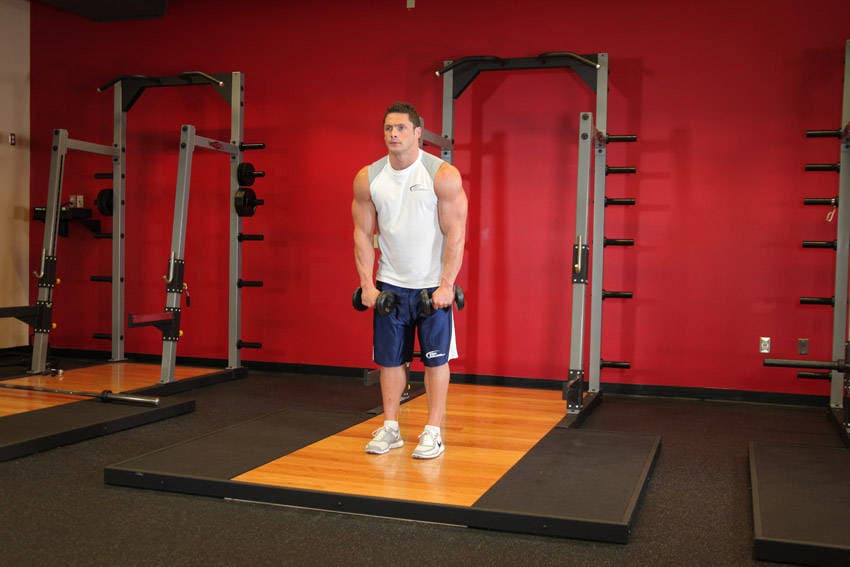 Standing Dumbbell Straight-Arm Front Delt Raise Above Head — البداية