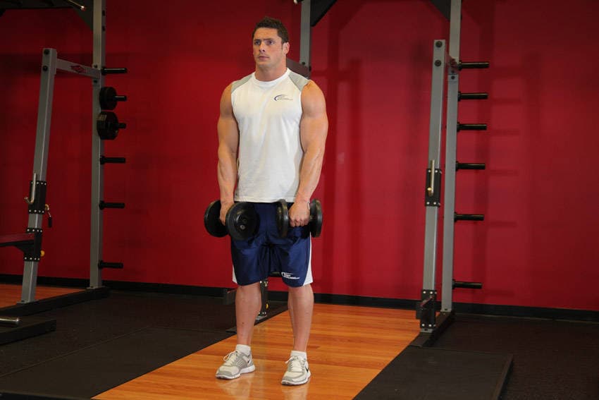 Standing Dumbbell Upright Row — النهاية