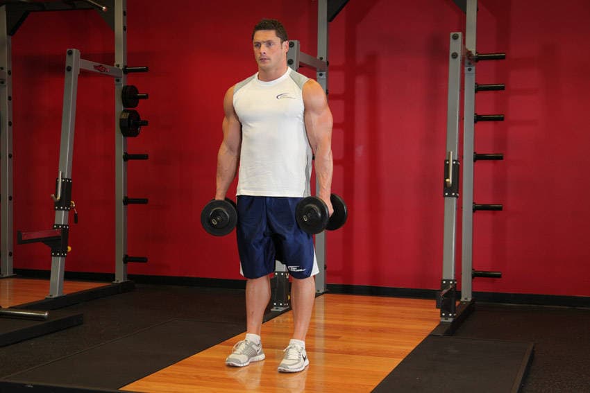 Standing Inner-Biceps Curl — البداية