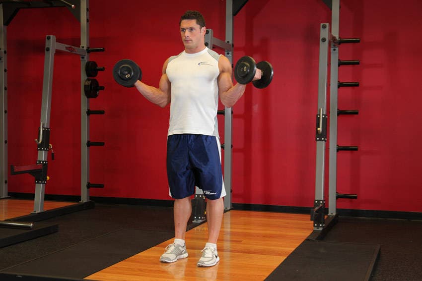 Standing Inner-Biceps Curl — النهاية