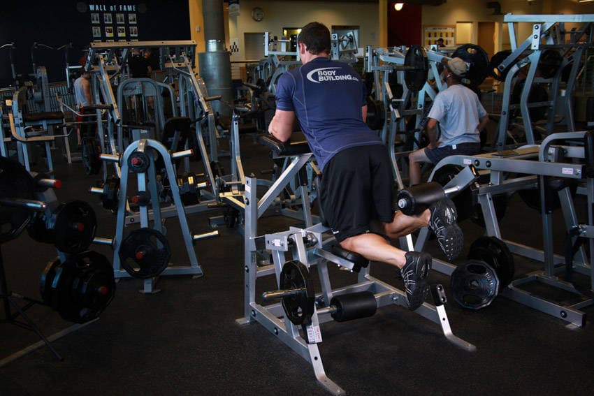 Standing Leg Curl — النهاية