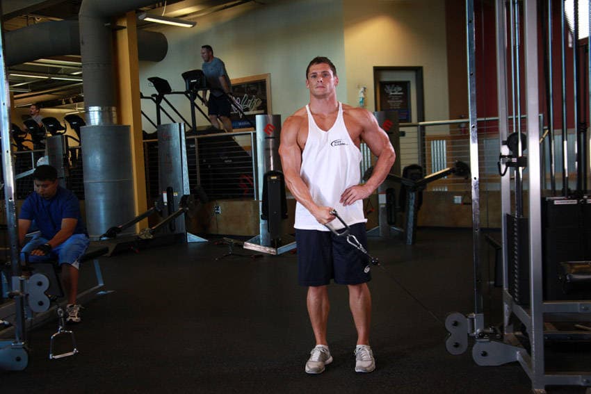 Standing Low-Pulley Deltoid Raise — النهاية
