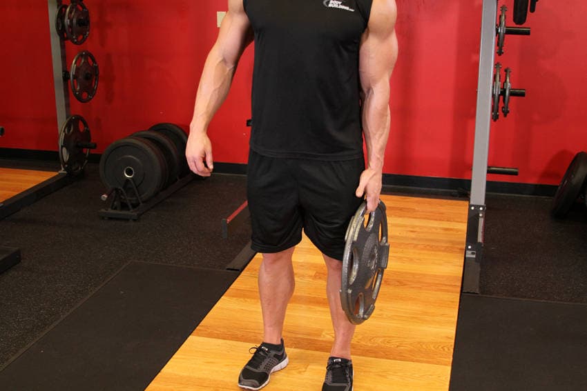 Standing Olympic Plate Hand Squeeze — البداية