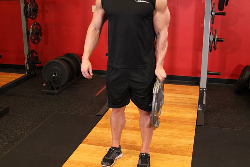 Standing Olympic Plate Hand Squeeze — النهاية