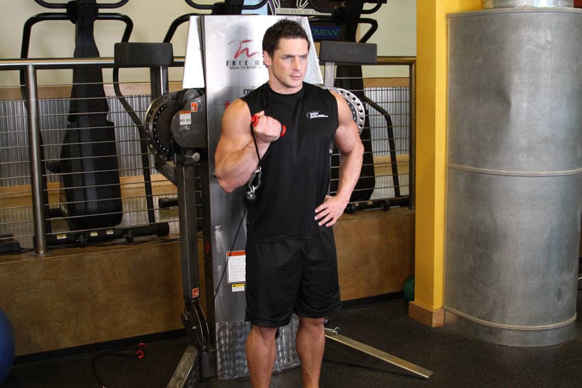 Standing One-Arm Cable Curl — النهاية