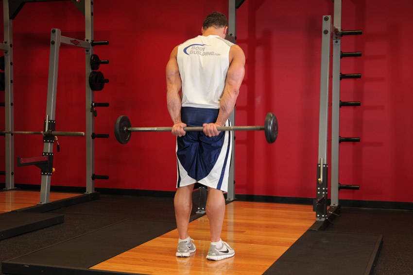 Standing Palms-Up Barbell Behind The Back Wrist Curl — البداية