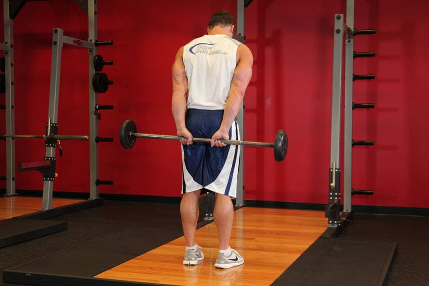 Standing Palms-Up Barbell Behind The Back Wrist Curl — النهاية