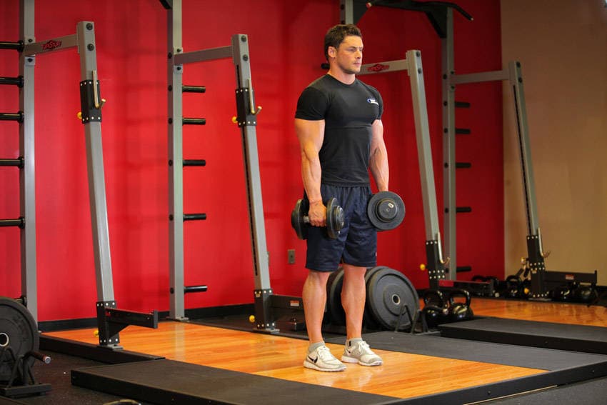 Stiff-Legged Dumbbell Deadlift — البداية