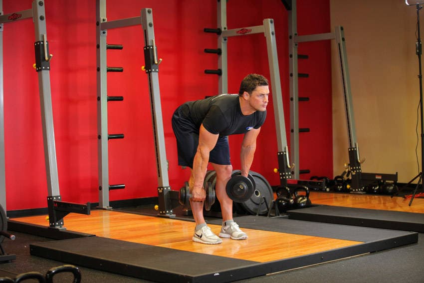 Stiff-Legged Dumbbell Deadlift — النهاية