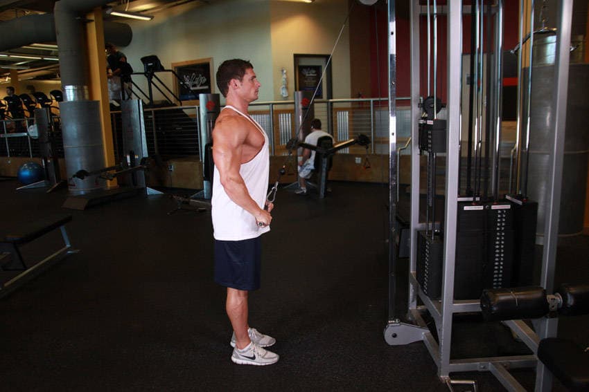 Straight-Arm Pulldown — النهاية