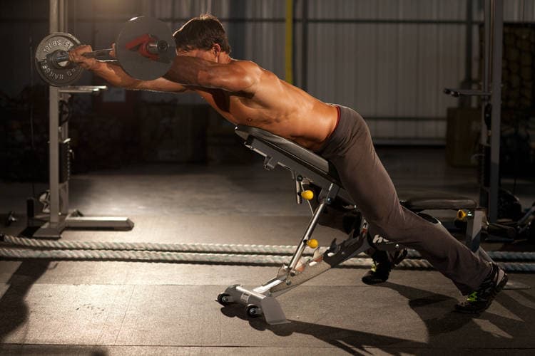 Straight Raises on Incline Bench — النهاية