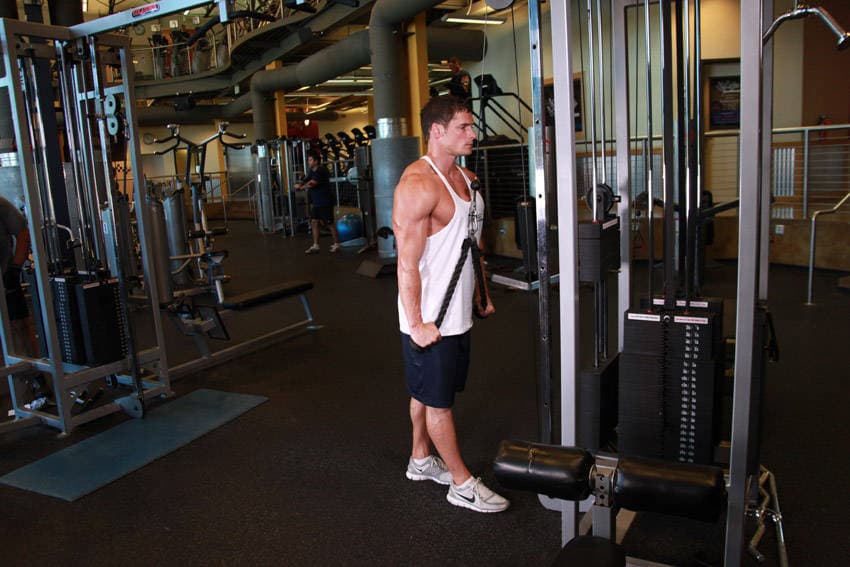 Triceps Pushdown - Rope Attachment — النهاية