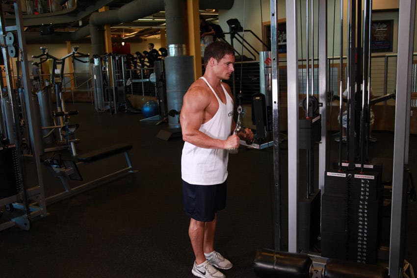 Triceps Pushdown - V-Bar Attachment — البداية