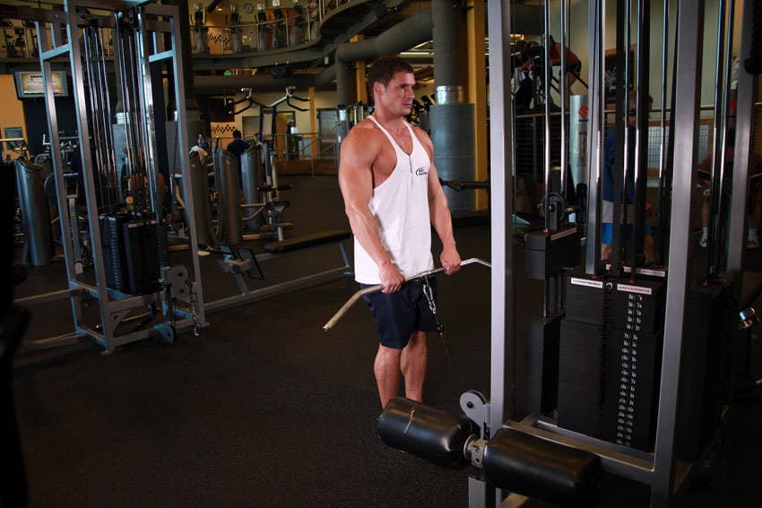 Upright Cable Row — النهاية