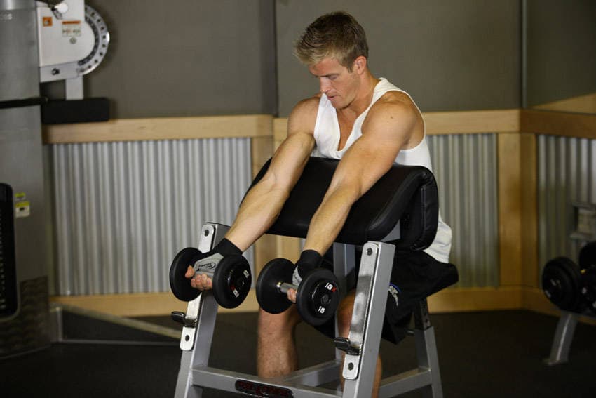 Zottman Preacher Curl — البداية